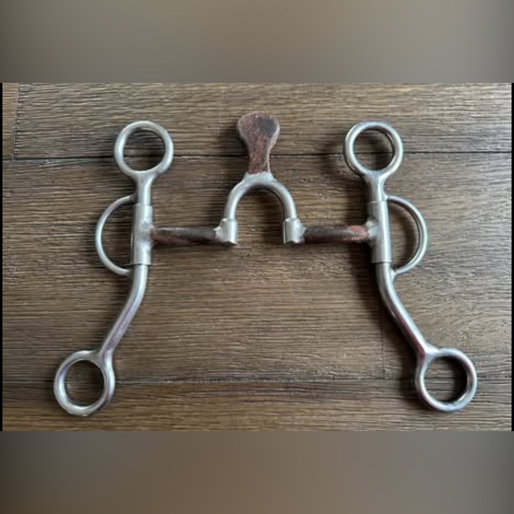 Horse Tack - 5” Pard’s Versatility Spade Western Correction Bit